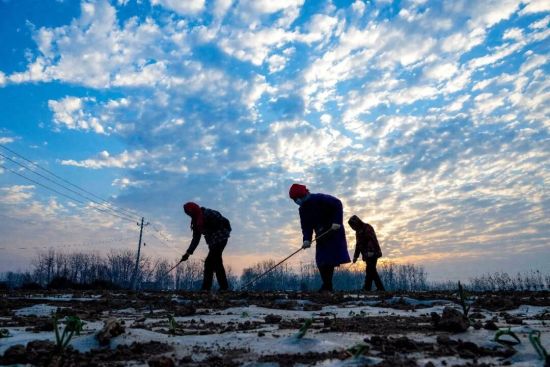 ���й������ܿ����������������������ѡ���ũ�����Ͻ����ô�ǣ�