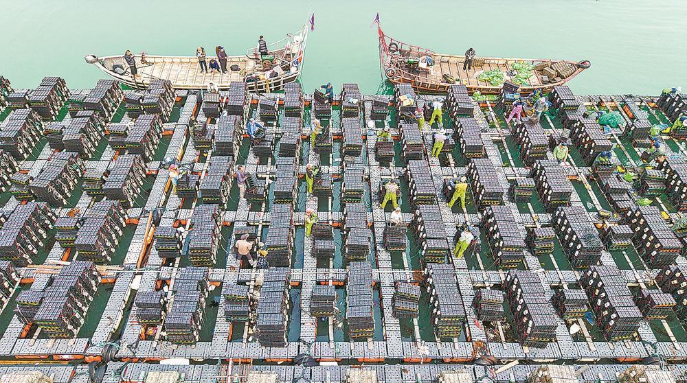 ����Ͷ��