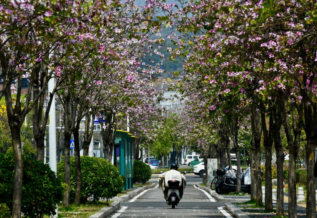 �������ݣ���ͷ�е���������֦