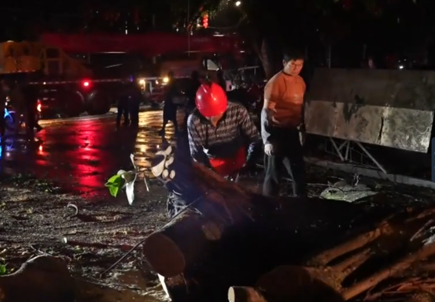 �����Ϻ���ҹ����ǿ��������