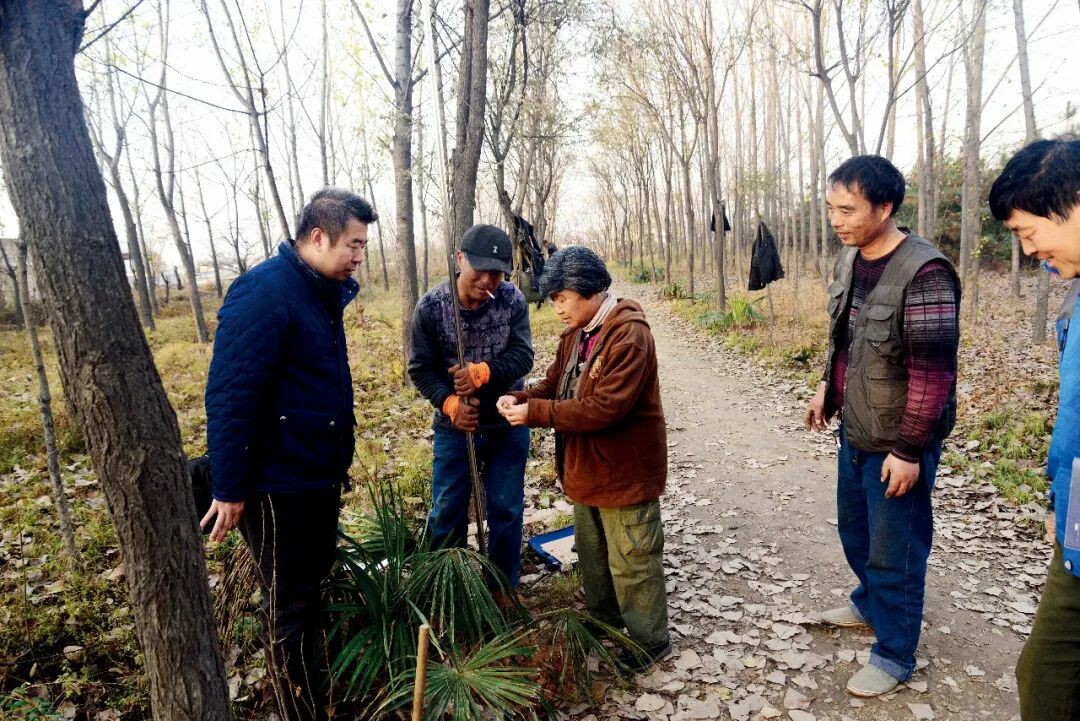 ���й������ܿ�����������ı�������