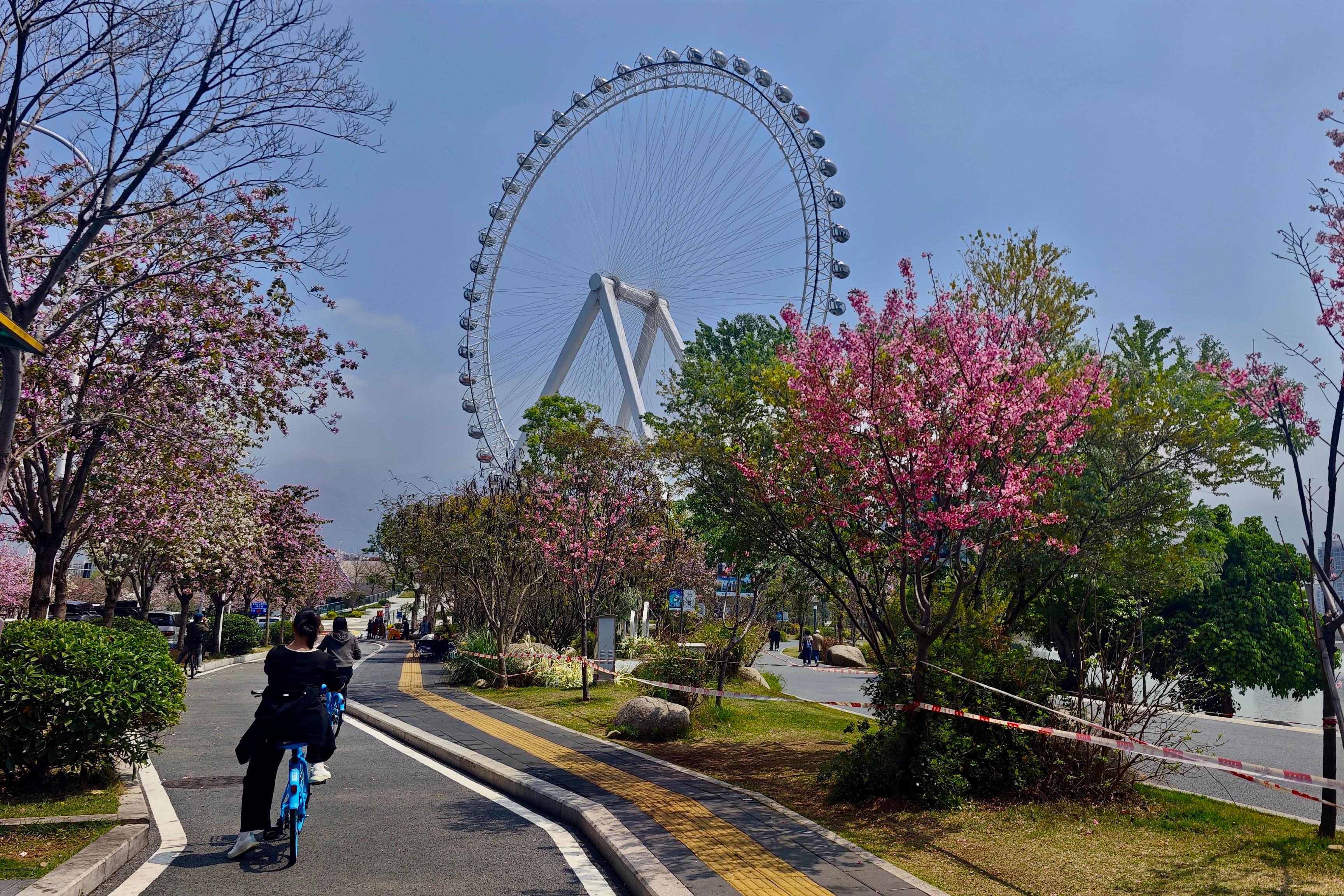 �������ݣ���ͷ�е���������֦