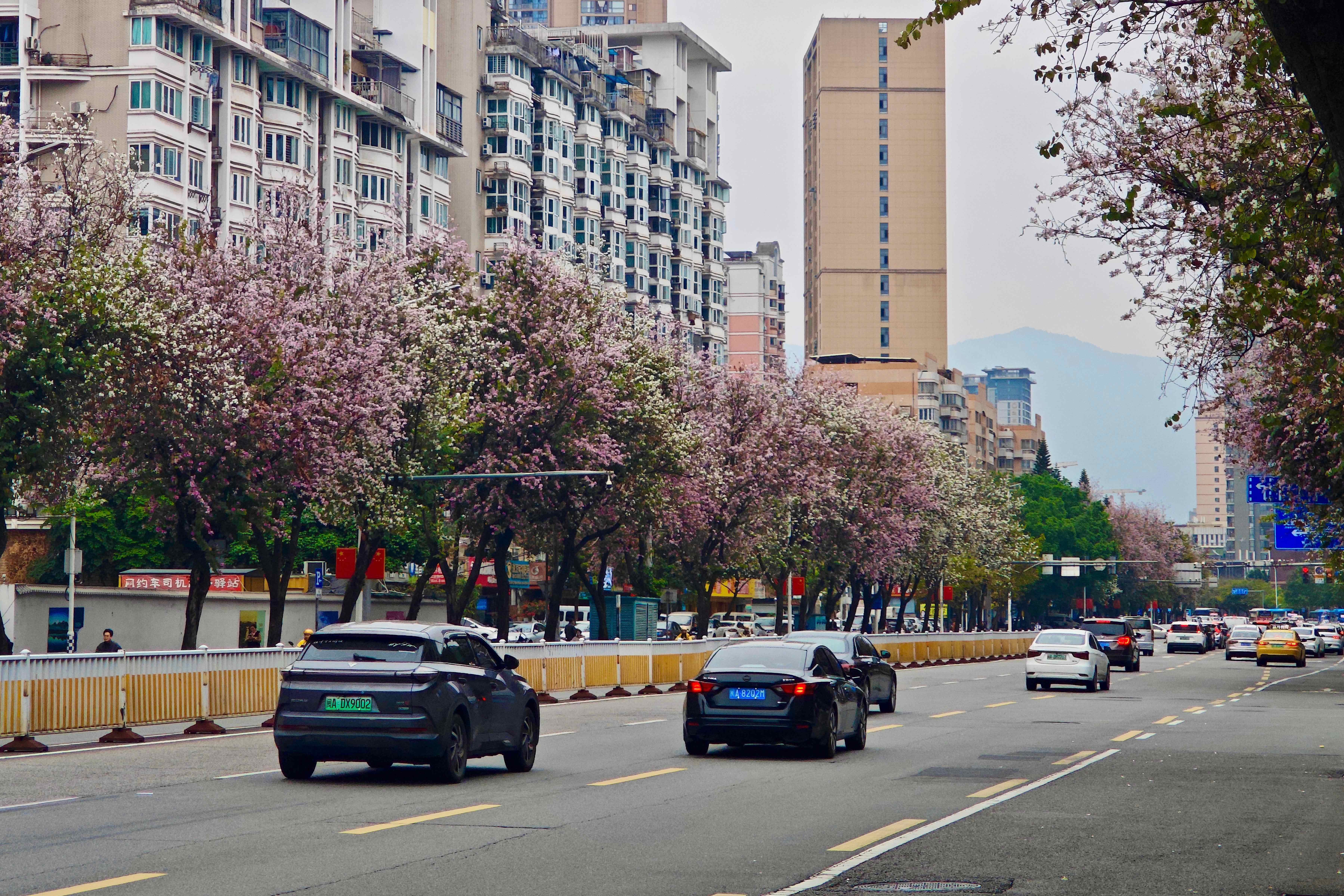 ���ݣ�����׾������� ���е�·������������