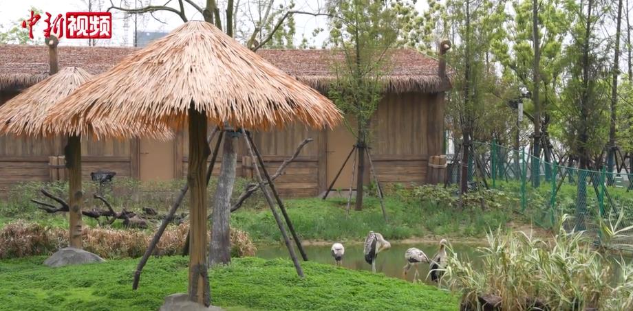 ˫԰�ںϣ��������Ұ�������������ζȼ�����԰