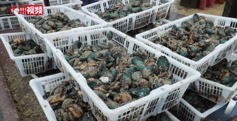 ��������5�ڶ��������������� Ʒ����ζ����ʱ