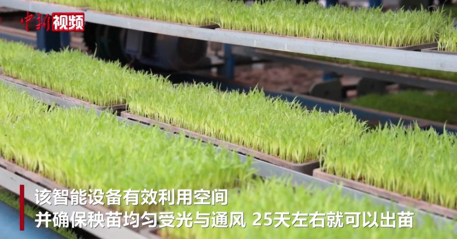 �������ϡ�Ħ���֡� ����װ��������