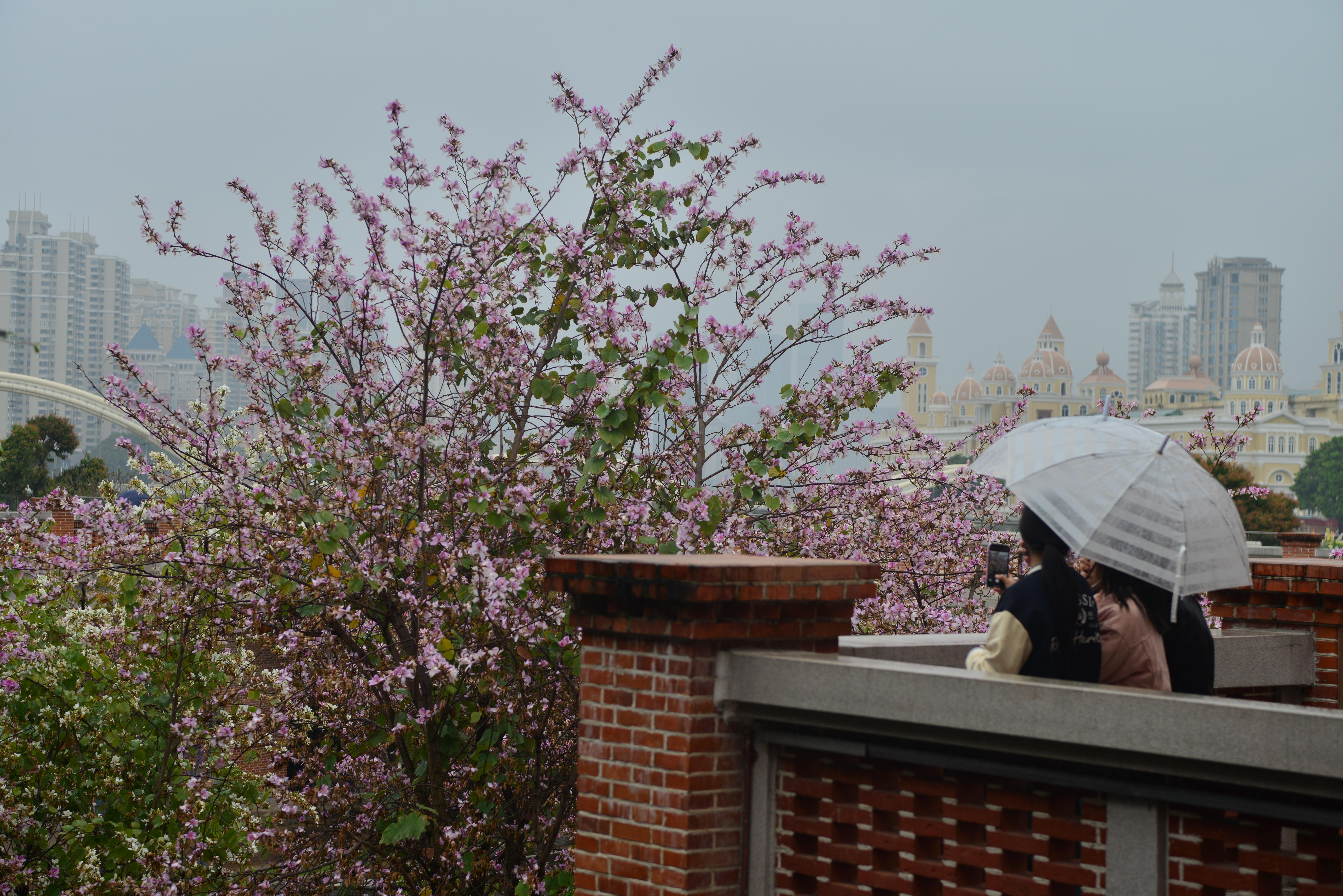 ���ݣ�����׻�����һ��