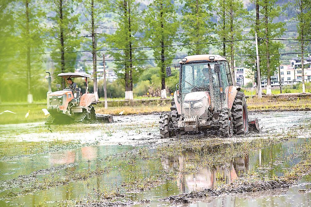 ��ƽ����Ϫ��ӭ�������ؼ���