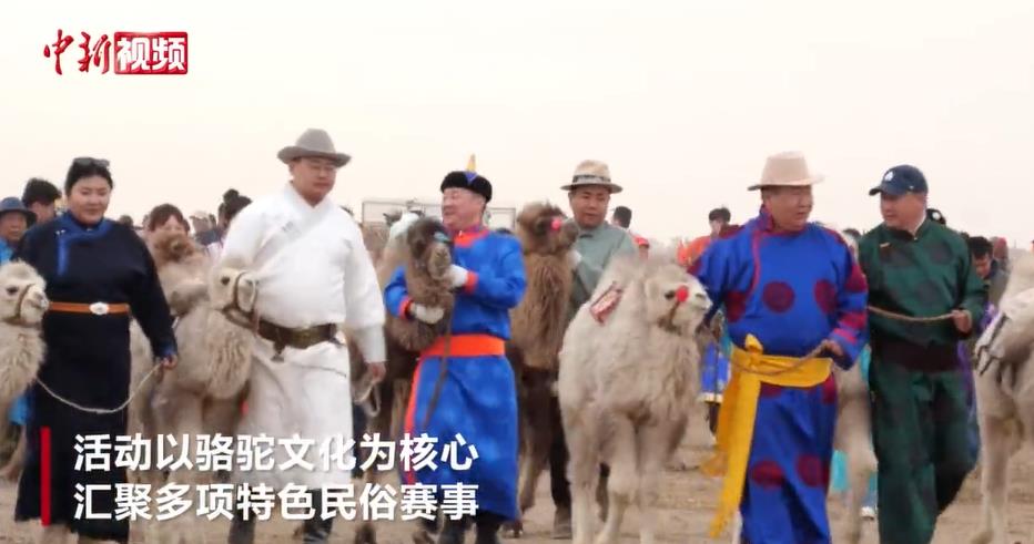 ������ǧ���ոᡱ����Ļ ����ʽ�����Į���Ļ�