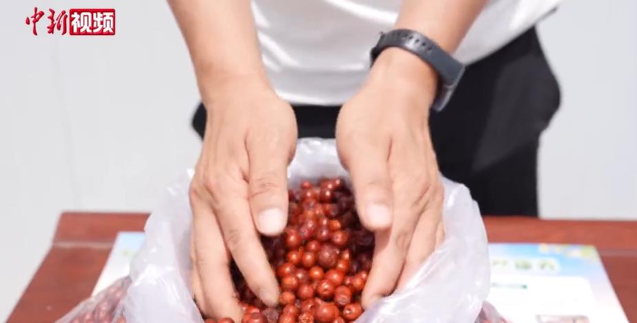 �ƺ��ذ��ġ��ᡱ�롰�𡱣�Ұ����������¸�����