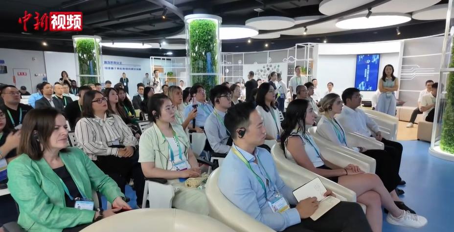 APEC�α�̽���ǻ��س� ��Ѱ���־��ú����¿ռ�