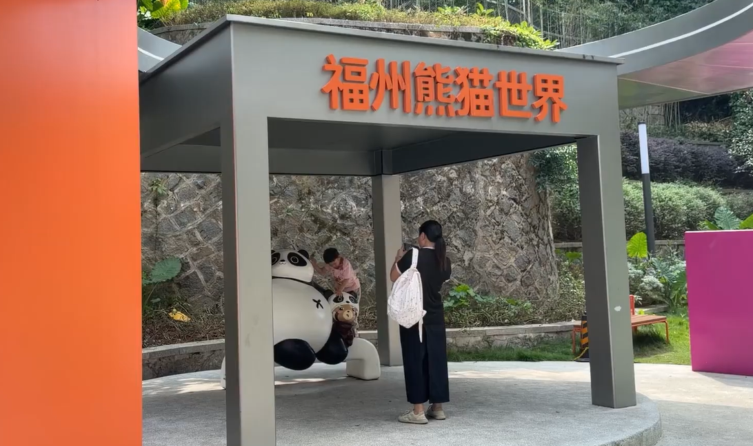 ������ڸ�����è���������� ����������ɫ�����������